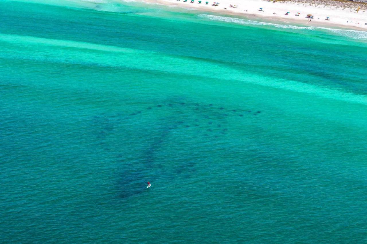 Caribbean Dunes 121 Destin Exteriör bild